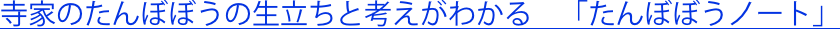 shapeimage_2_link_0